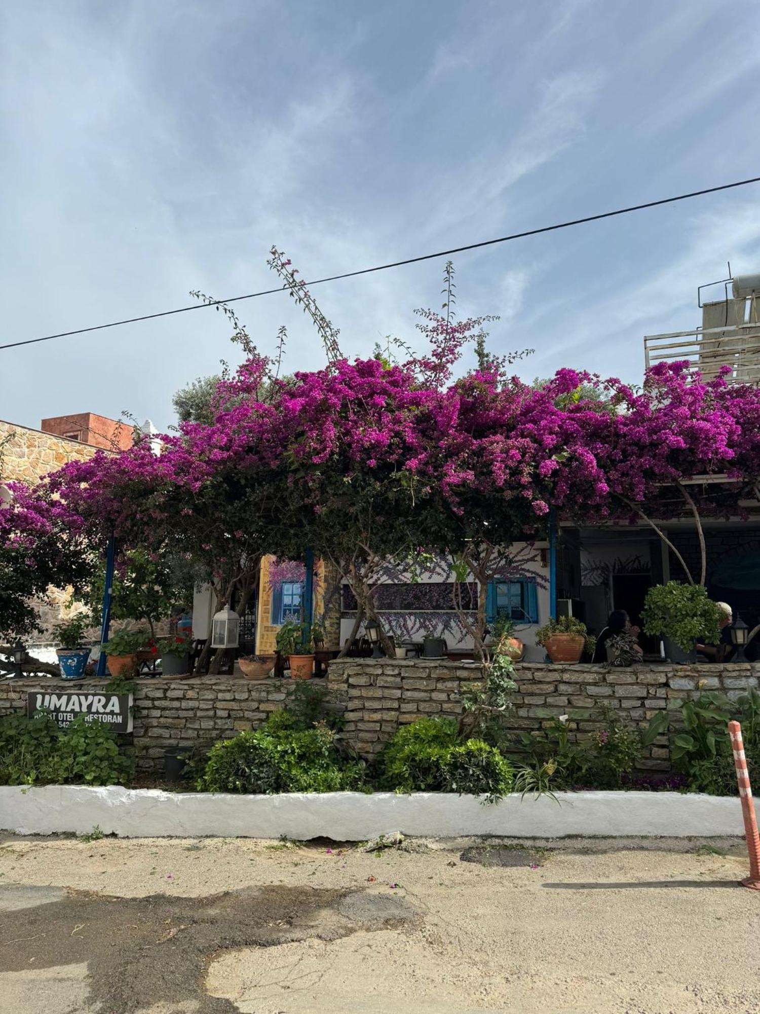 Umayra Otel Bodrum Exterior photo